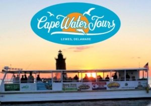 Seal & Bird Watching with Captain Madie •  Lewes Ferry