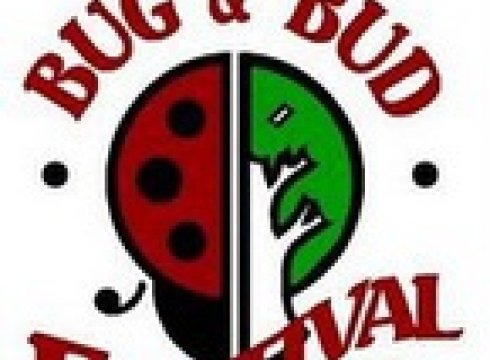 The Bug & Bud Festival