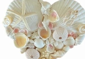 Heart of the Sea Shell Mosaic