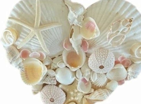 Heart of the Sea Shell Mosaic