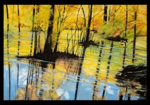 One Water, Native Spaces, Water? Oil Paintings by Geo McElroy