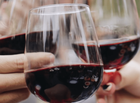 Salted Vines Vineyard-Merlot Harvest