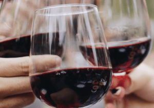 Salted Vines Vineyard-Merlot Harvest