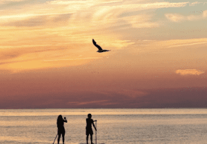 DELAWARE BEACH LIFE PHOTO CONTEST EXHIBIT