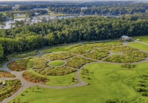 DBG Lecture Series: FLORA, An Evening with Bill McAvoy, former DE State Botanist