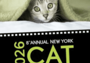 The NY Cat Film Festival