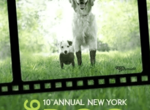The NY Dog Film Festival