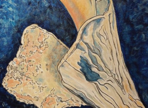 "Shellabration" - Works by Marian Osher