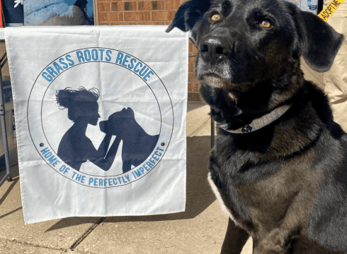 Yappy Hour with Grass Roots Rescue