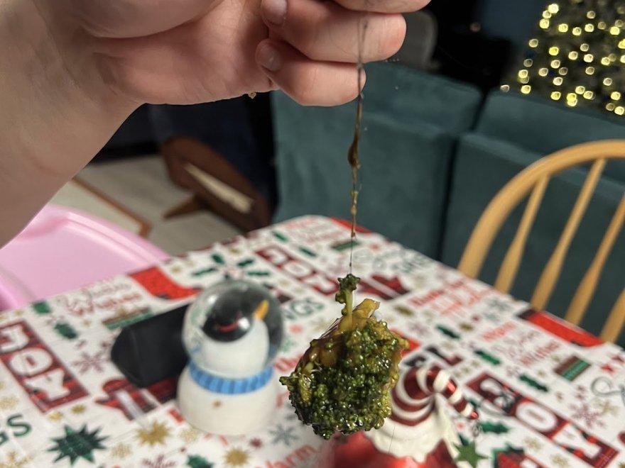 Chinatown Express Chinatown Express