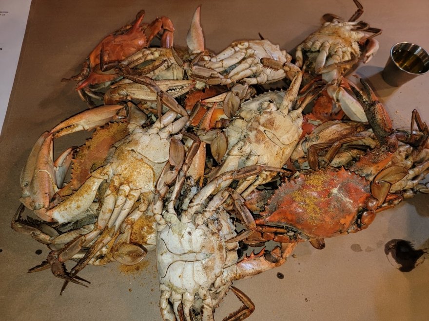 Claws Seafood House