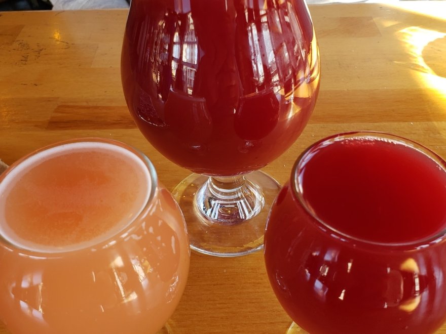 Dewey Beer Co.