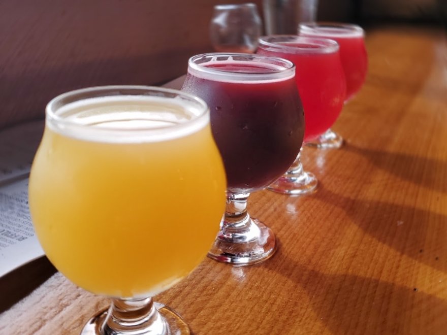 Dewey Beer Co.