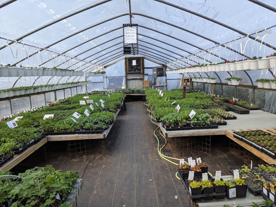Pepper Greenhouses