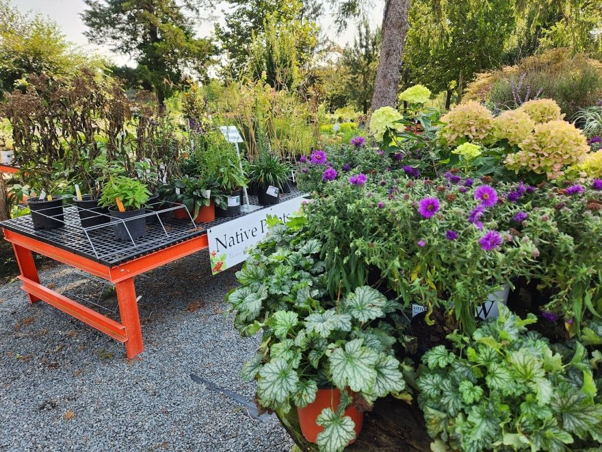 Bella Terra Landscape and Garden Center