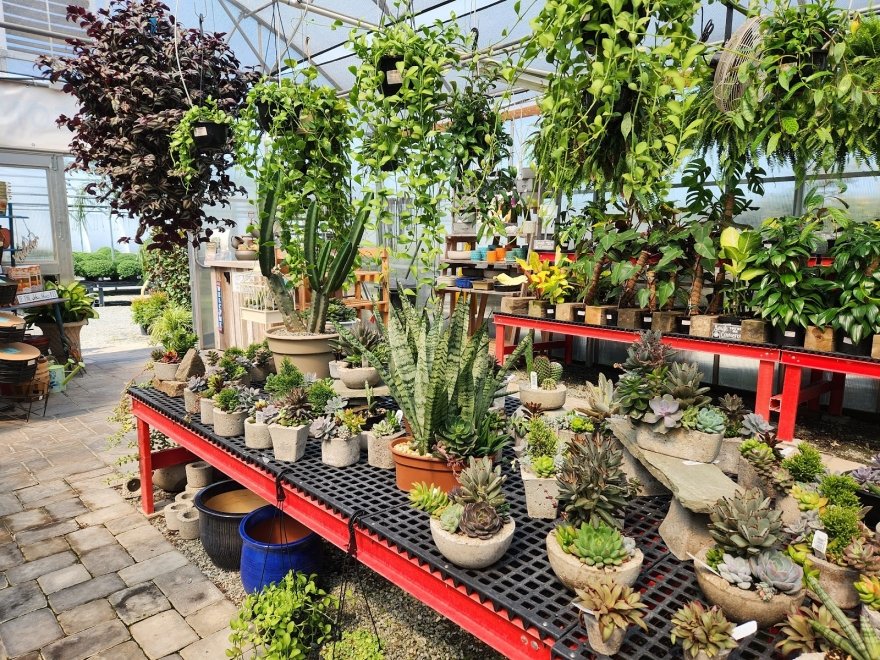 Bella Terra Landscape and Garden Center