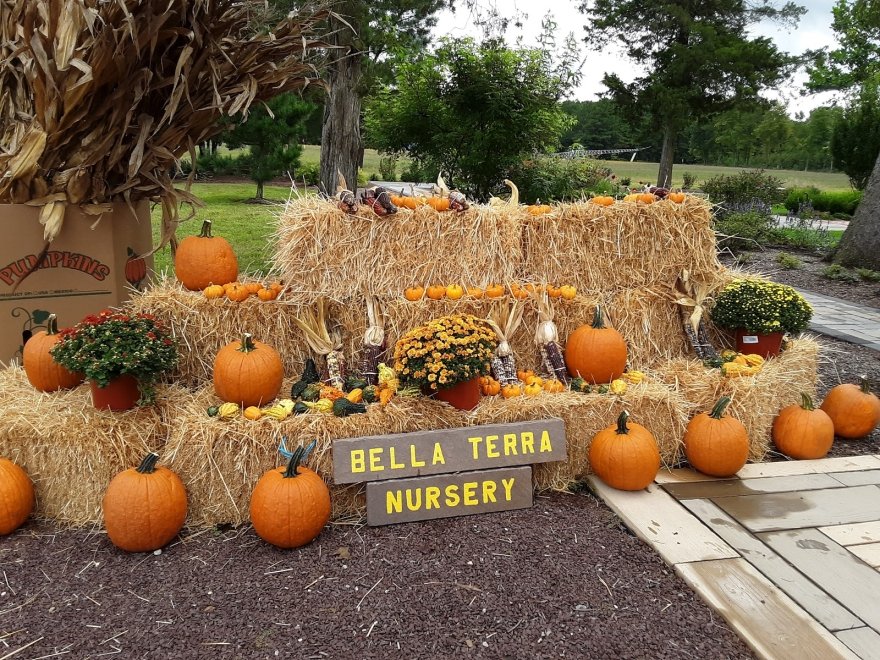 Bella Terra Landscape and Garden Center