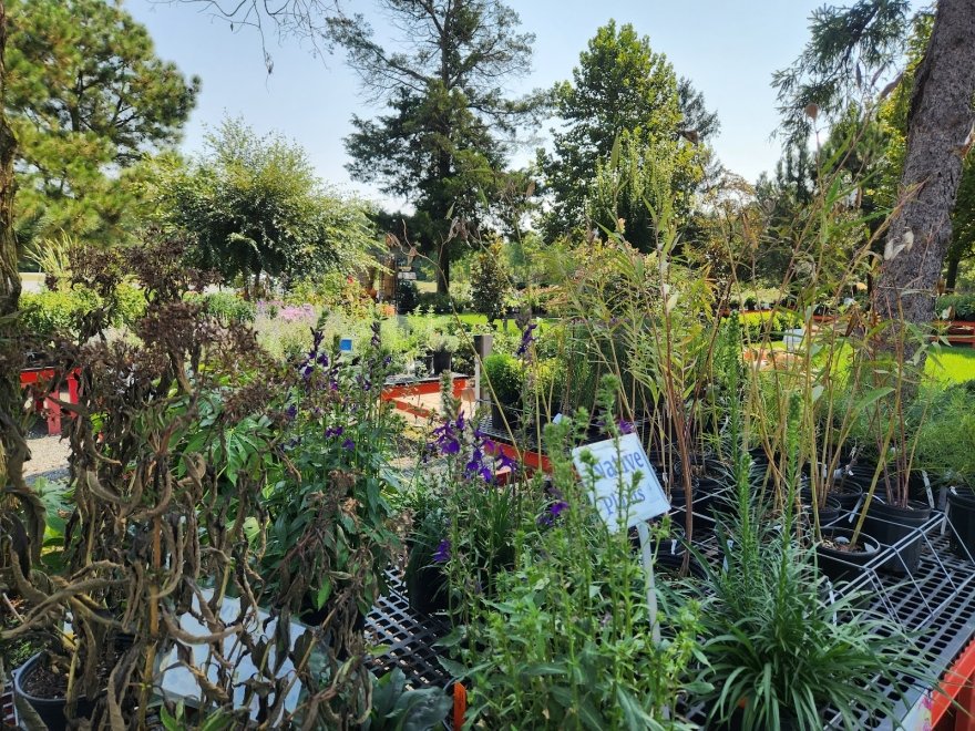 Bella Terra Landscape and Garden Center