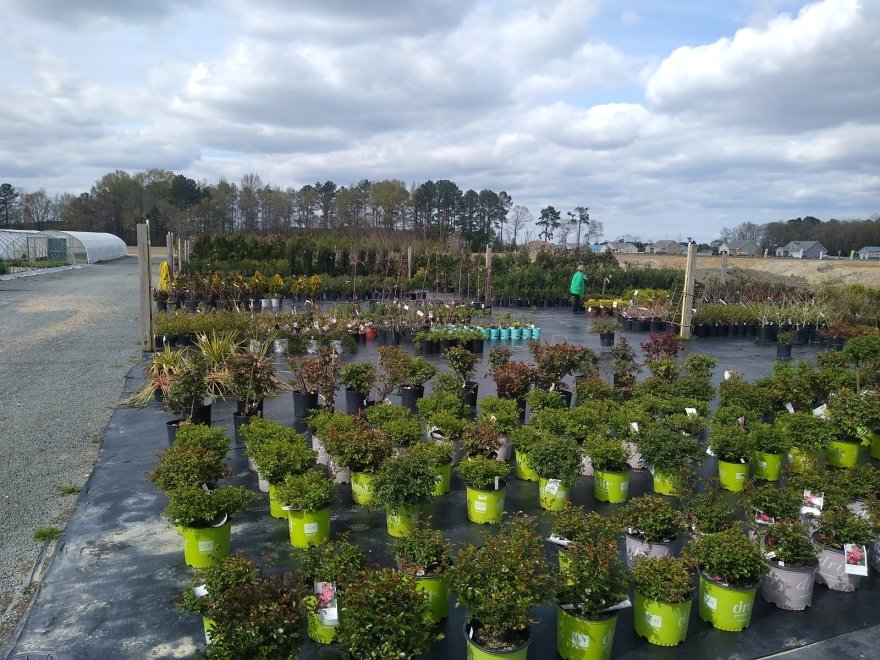 Bella Terra Landscape and Garden Center