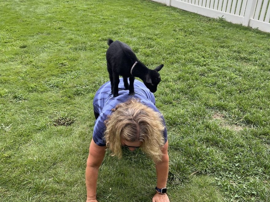 Ritter Family Farms Inc.