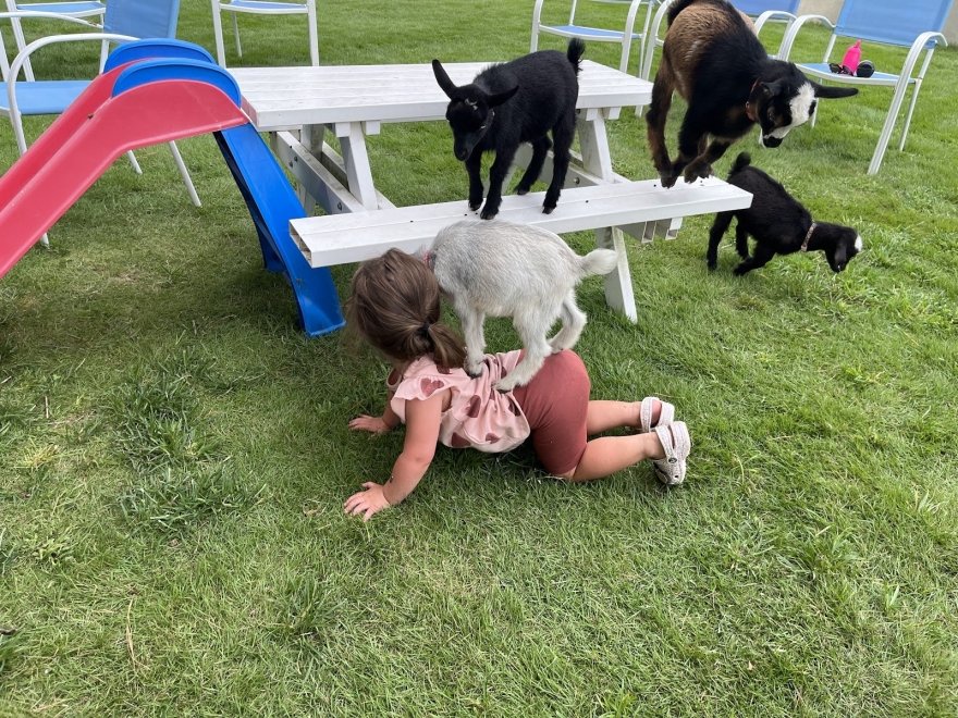 Ritter Family Farms Inc.