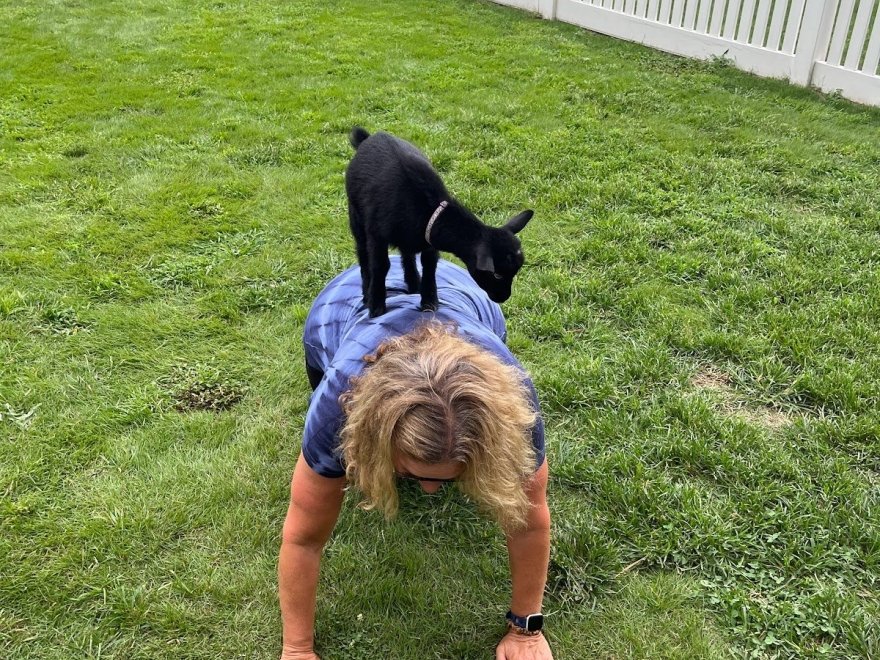 Ritter Family Farms Inc.