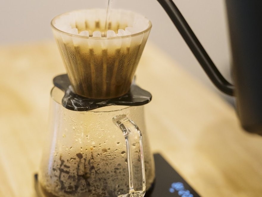 Gaia Coffee Co.