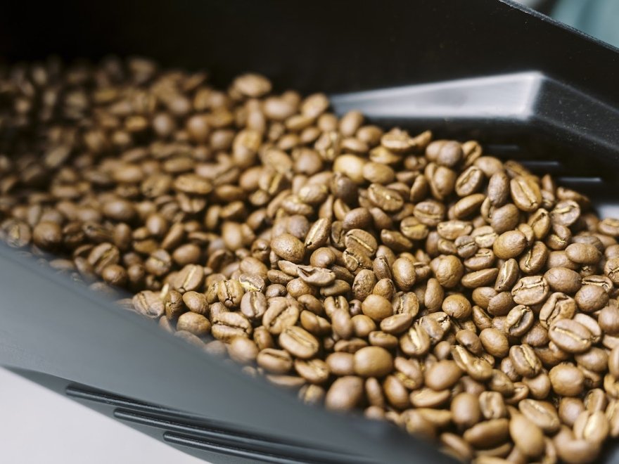 Gaia Coffee Co.