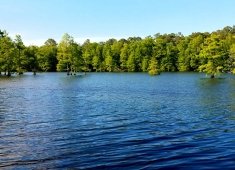 Trap Pond State Park