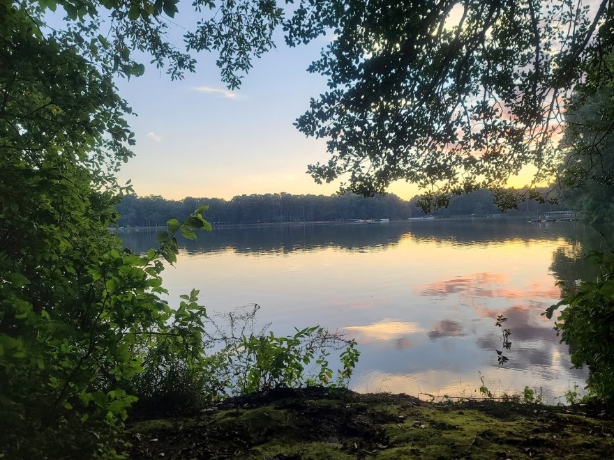 Trap Pond State Park