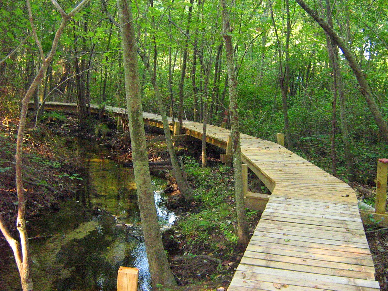 Abbott's Mill Nature Center Of Delaware Nature Society Abbott's Mill Nature Center of Delaware Nature Society | SouthDel Sidekick