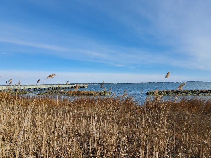 Holts Landing State Park
