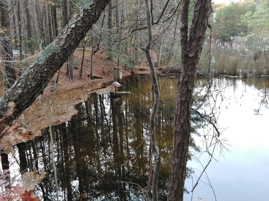 Holts Landing State Park
