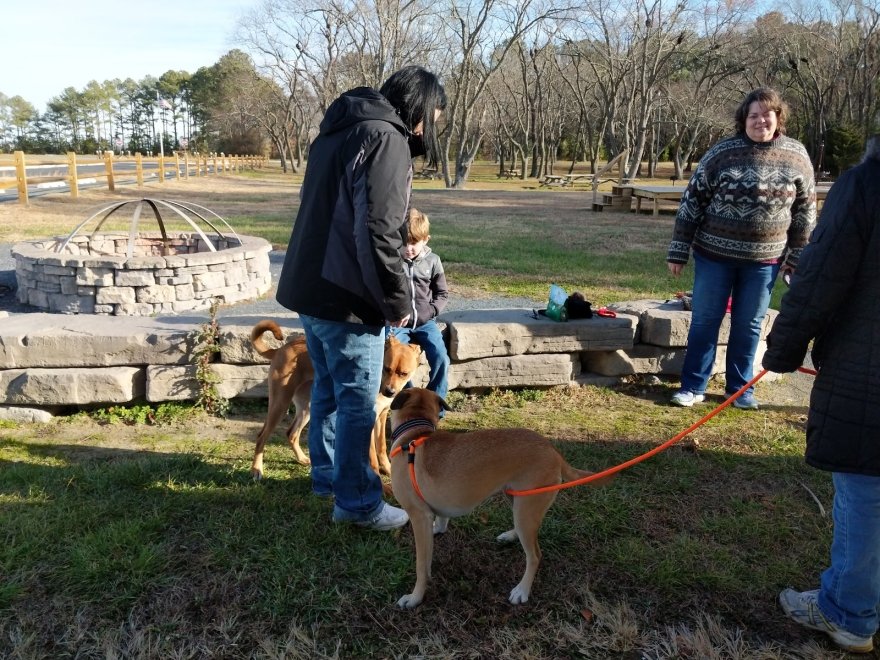 Holts Landing State Park