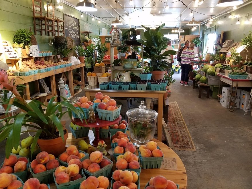 The Brush Factory on Kings