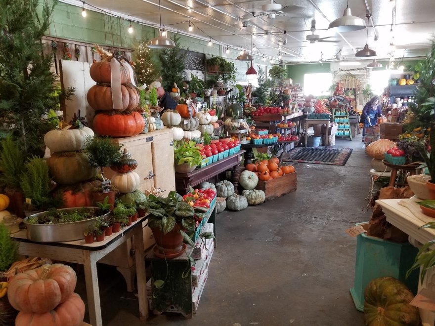 The Brush Factory on Kings