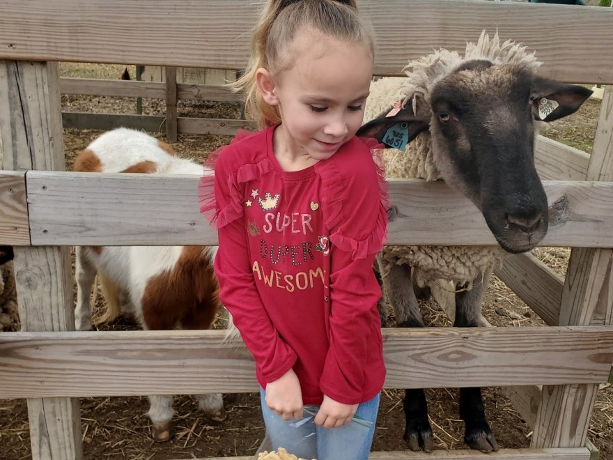 Red Barn Country Store