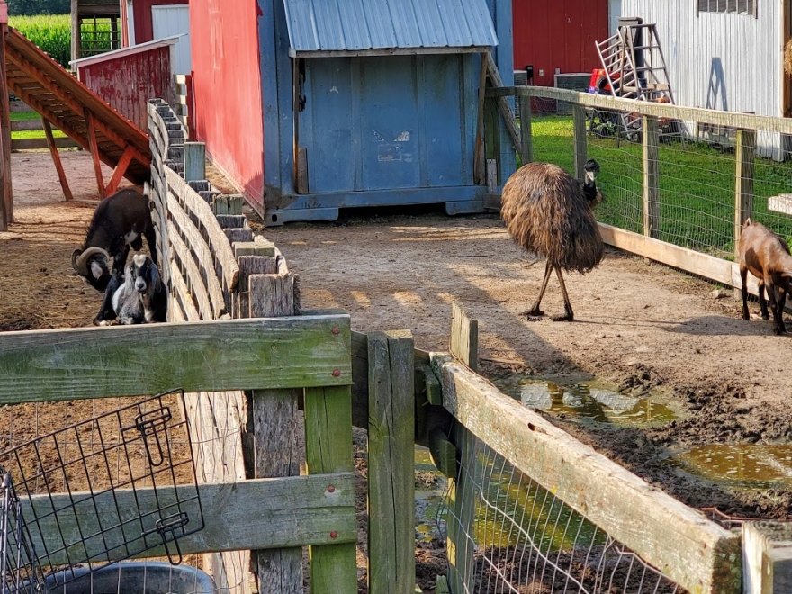 Red Barn Country Store