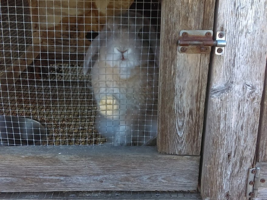 Red Barn Country Store