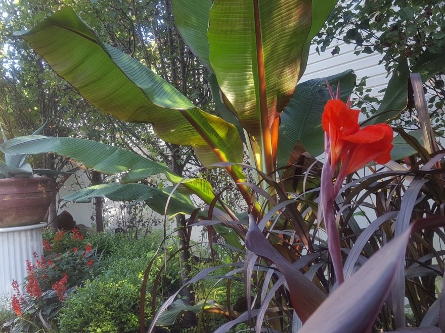 Rehoboth Guest House