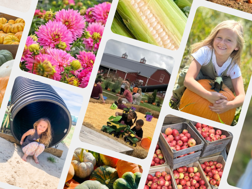 Evans Farms
