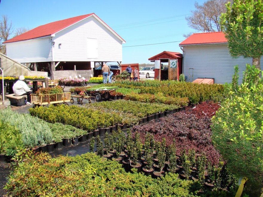 Jeff's Green Houses & Gift Shop