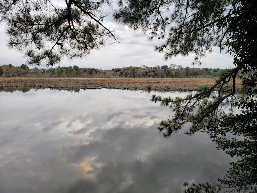 Smiths Landing