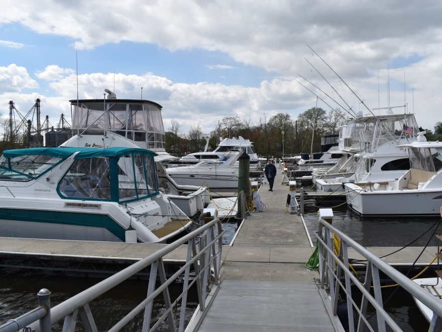 Nanticoke River Marina