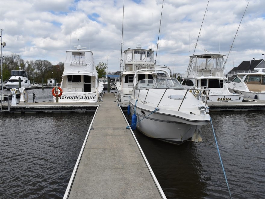 Nanticoke River Marina