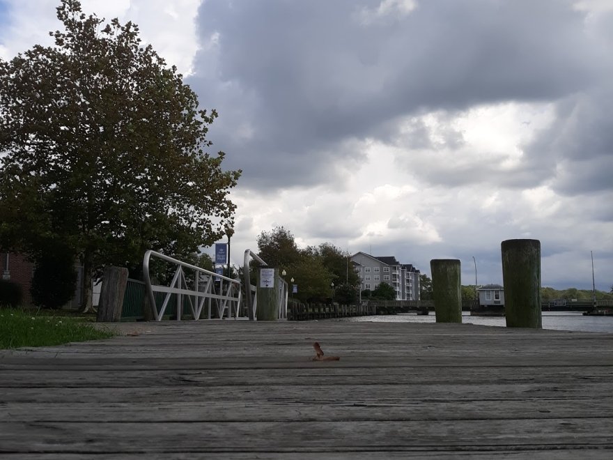 Nanticoke River Marina